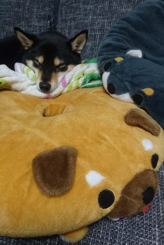おおはら村鍼灸整骨院のホームページをリニューアルしました。