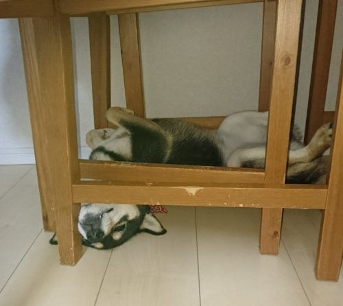 おおはら村鍼灸整骨院のホームページをリニューアルしました。