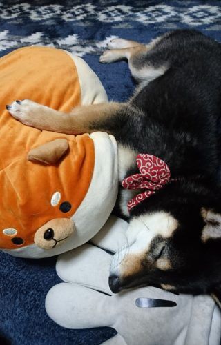 おおはら村鍼灸整骨院のホームページをリニューアルしました。