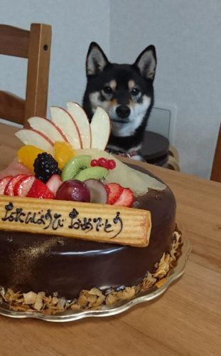 おおはら村鍼灸整骨院のホームページをリニューアルしました。