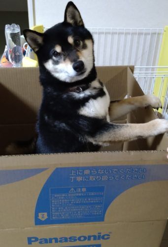 おおはら村鍼灸整骨院のホームページをリニューアルしました。