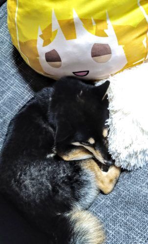 おおはら村鍼灸整骨院のホームページをリニューアルしました。