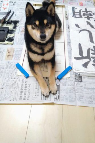 おおはら村鍼灸整骨院のホームページをリニューアルしました。