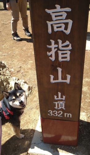 おおはら村鍼灸整骨院のホームページをリニューアルしました。