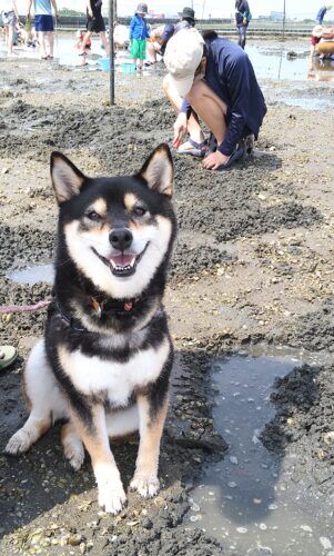 おおはら村鍼灸整骨院のホームページをリニューアルしました。