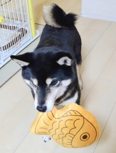 おおはら村鍼灸整骨院のホームページをリニューアルしました。