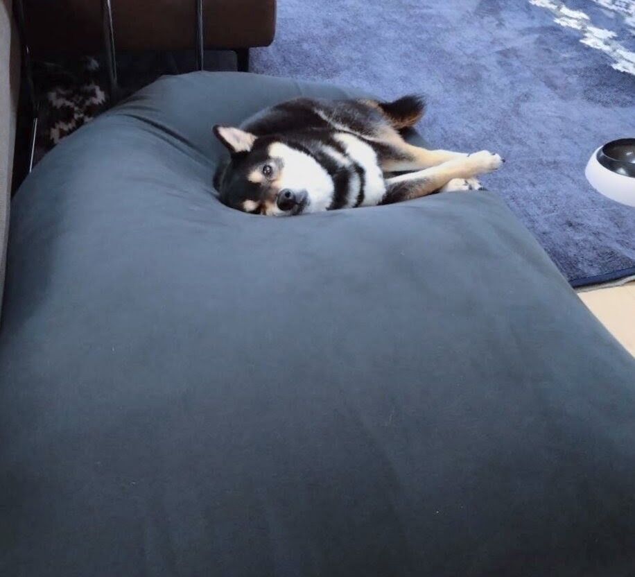 おおはら村鍼灸整骨院のホームページをリニューアルしました。