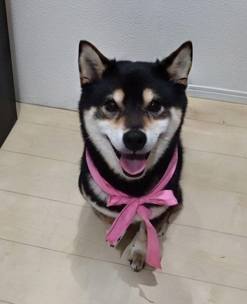 おおはら村鍼灸整骨院のホームページをリニューアルしました。